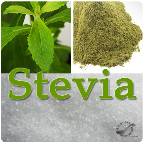 Stevia o Estevia - Sustituto del azúcar